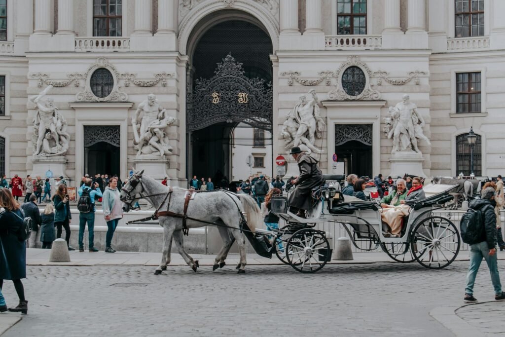 Vienna summer activities