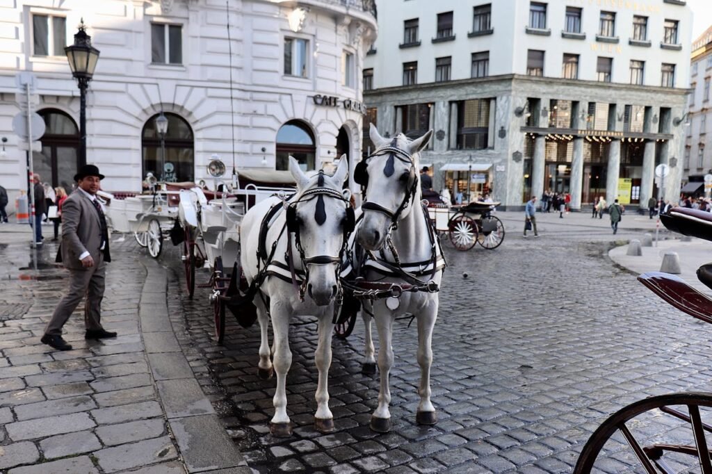 Horse-drawn Carriage in Historic Vienna Street